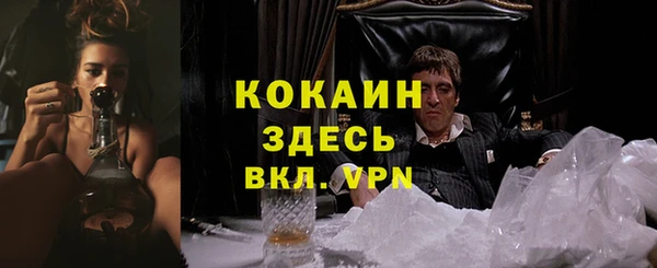 a pvp Новодвинск