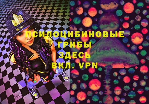 a pvp Новодвинск