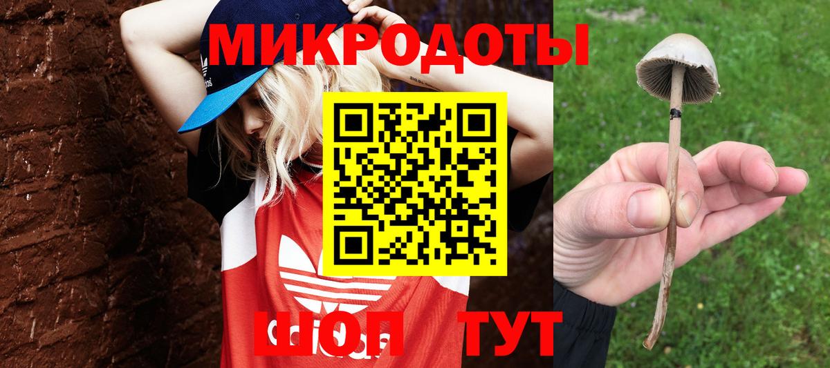 Псилоцибиновые грибы ЛСД Кстово